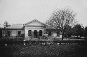 kolofikogvo (1)